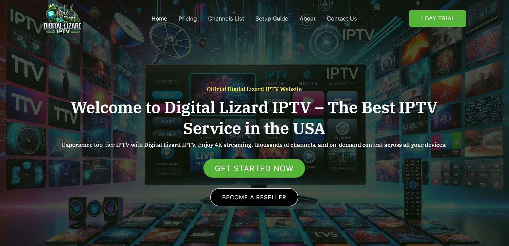 digital lizard iptv review